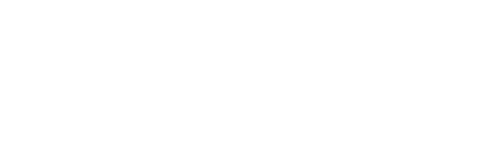 The Kronicler